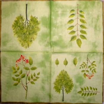 139 Plants - 3-ply (yellow) - Ihr